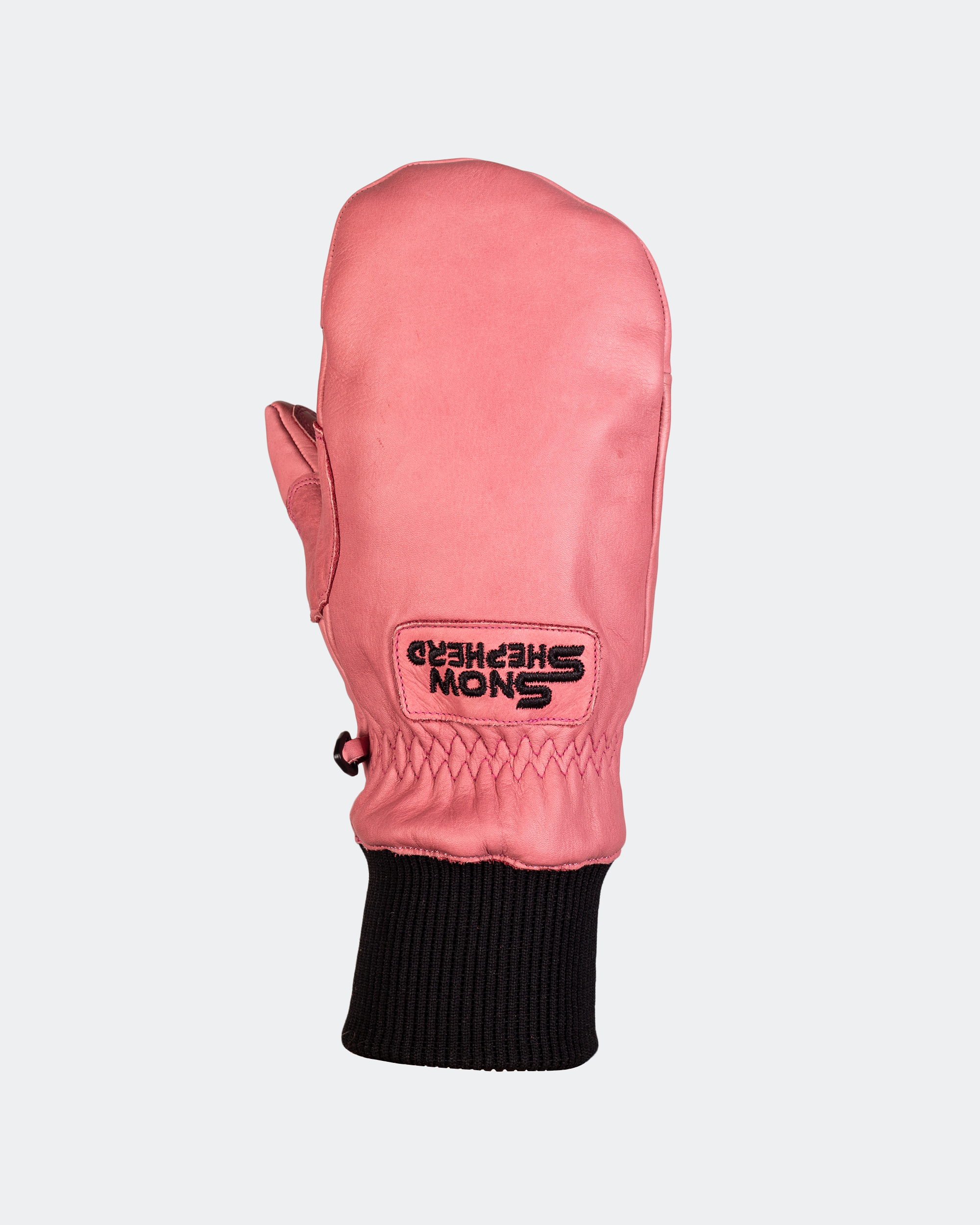 Leather Ski Guide Pro Mittens