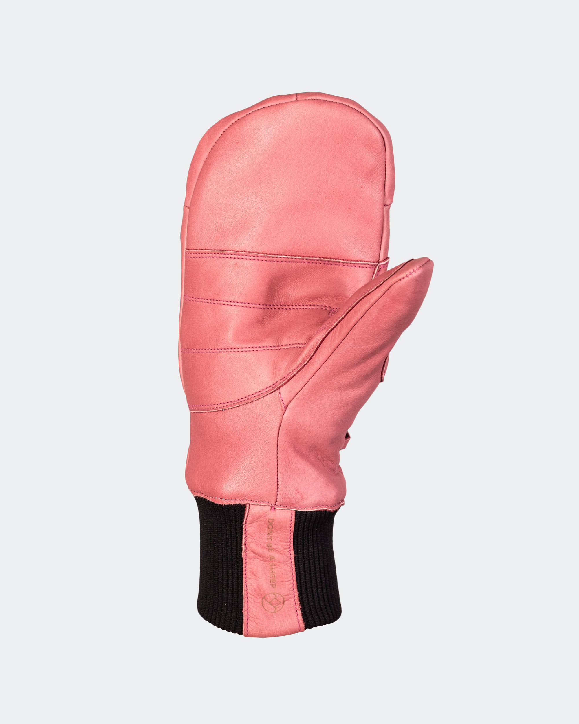 Leather Ski Guide Pro Mittens