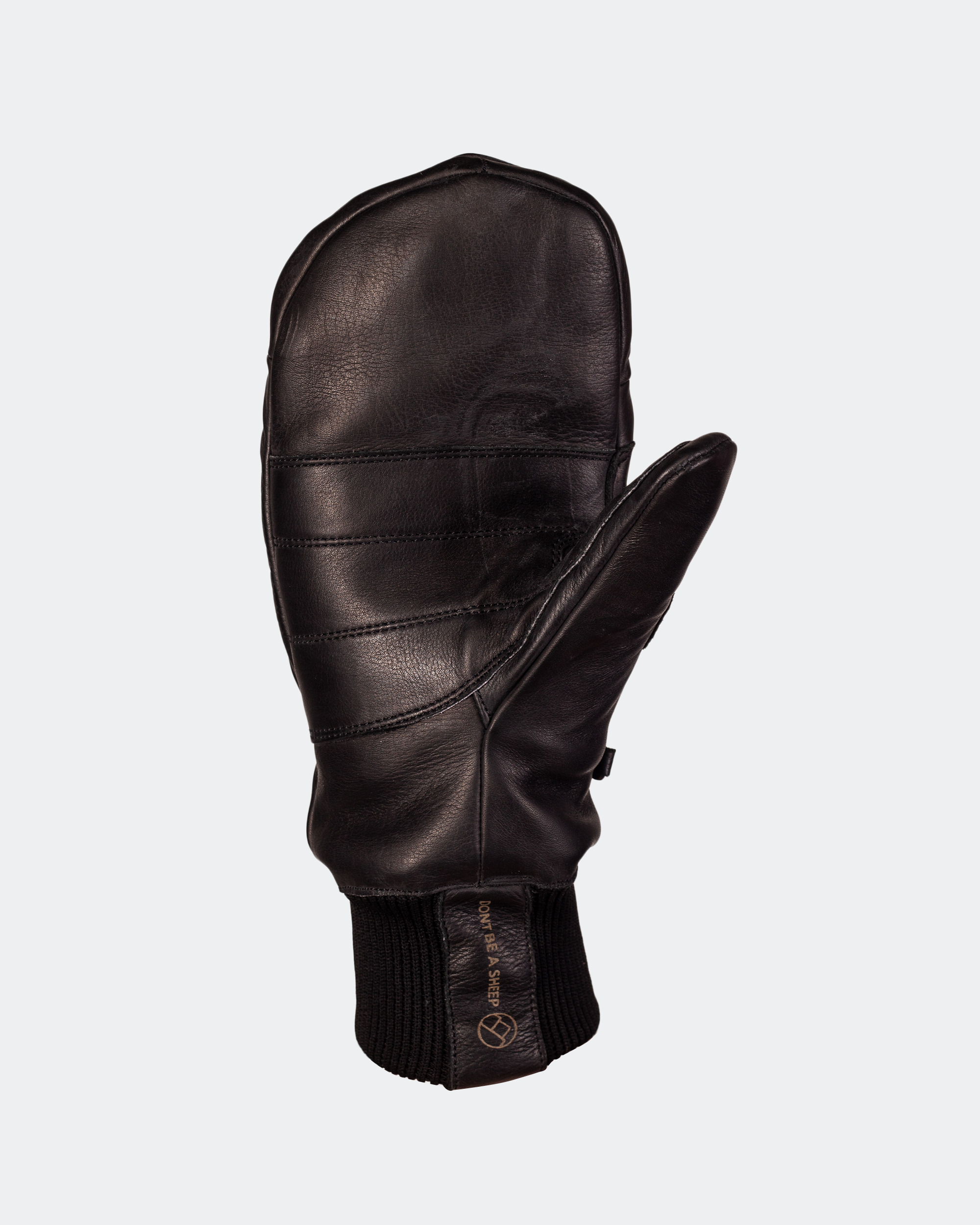 Leather Ski Guide Pro Mittens