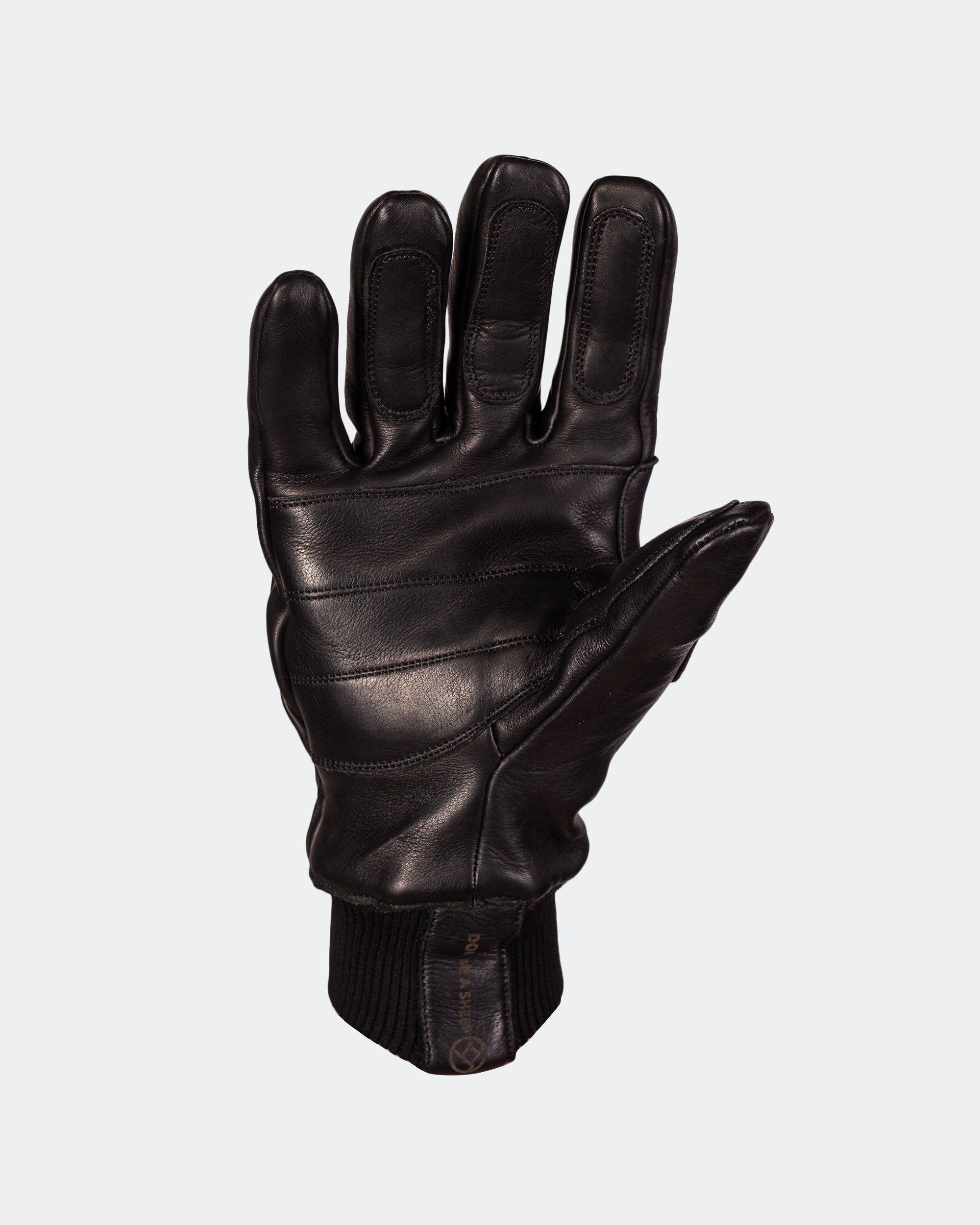 Leather Ski Guide Pro Gloves