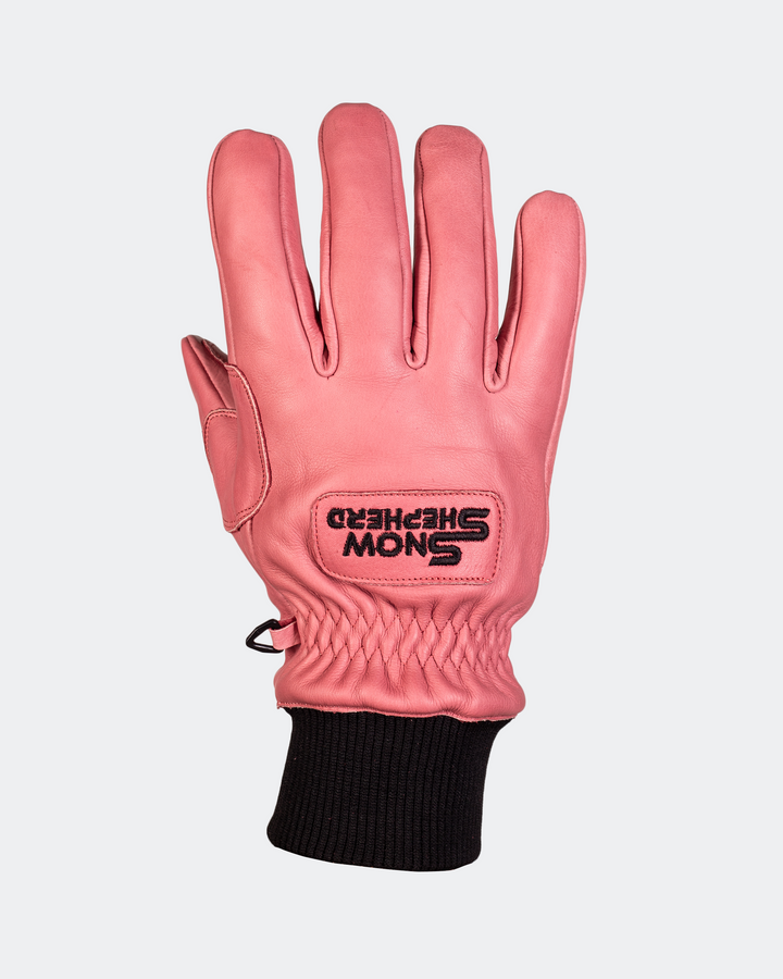 Leather Ski Guide Pro Gloves